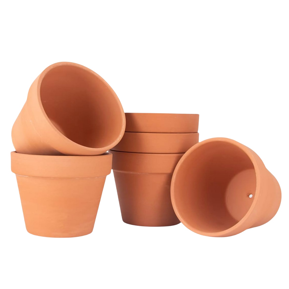 Cactus Mix Pot - 6pcs 4 inch Terracotta Pots Flower