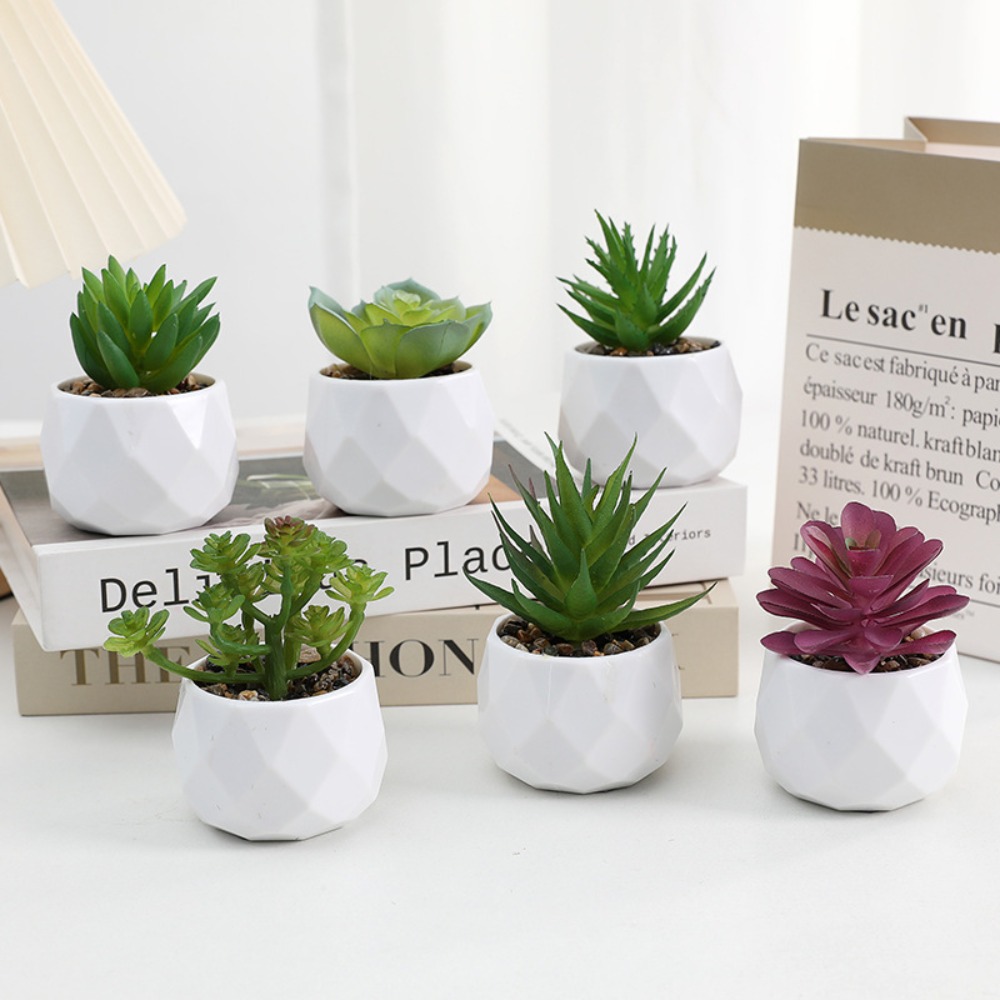 Cactus Mix Pot - Simulation Evergreen Artificial Succulent Cactus Fake