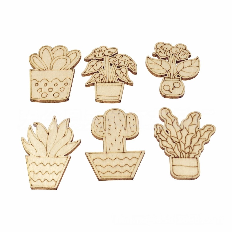 Cactus Mix Pot - 50PCS Mixed Styles Flower Cactus Potted