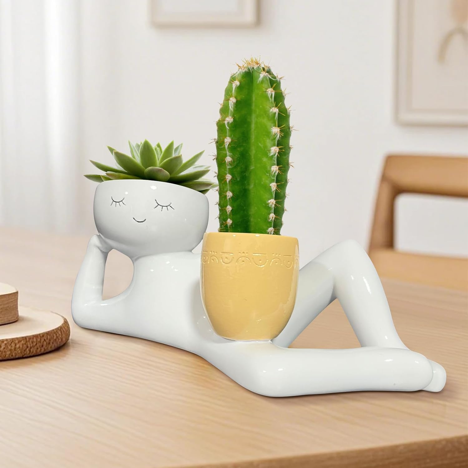 Lazy Little Guy Planter Unique - Cactus Mix Pot review and price