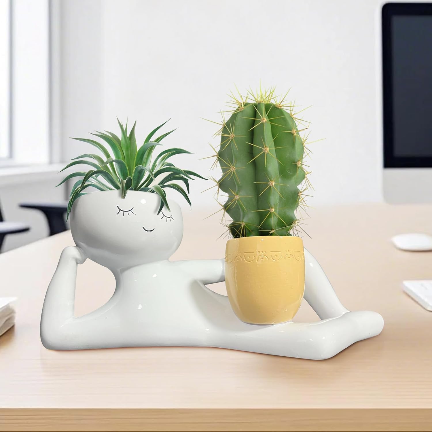 Lazy Little Guy Planter Unique - Cactus Mix Pot review and price
