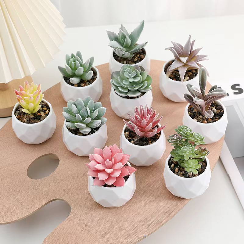 Mini Artificial Plants Simulat - Cactus Mix Pot review and price