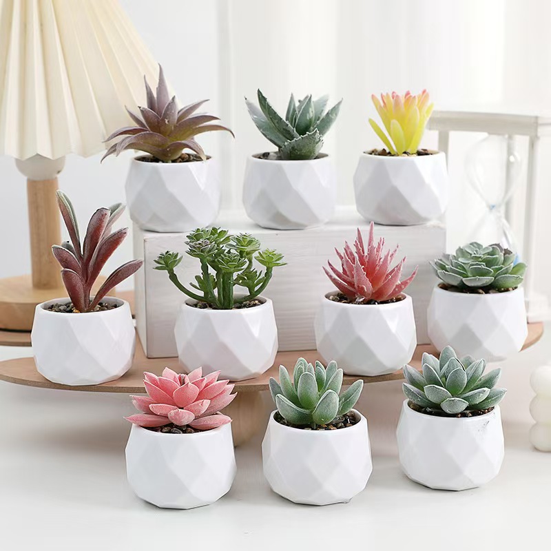 Mini Artificial Plants Simulat - Cactus Mix Pot review and price