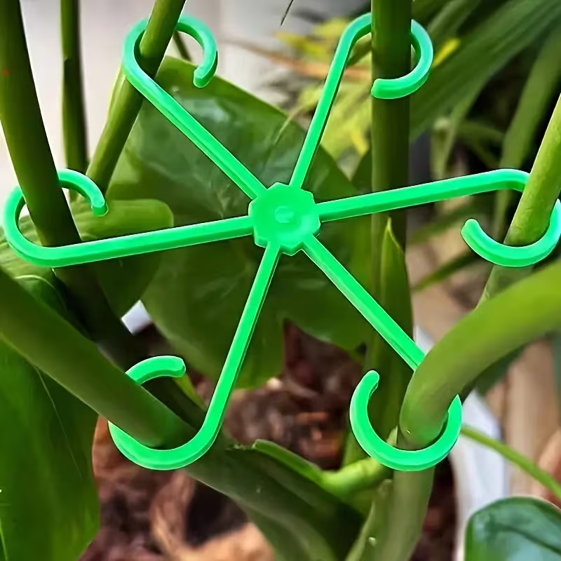 8-Piece Plant Stem Support Set - Variegated Monstera Node review and price