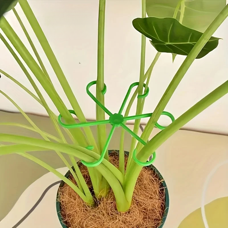 8-Piece Plant Stem Support Set - Variegated Monstera Node review and price