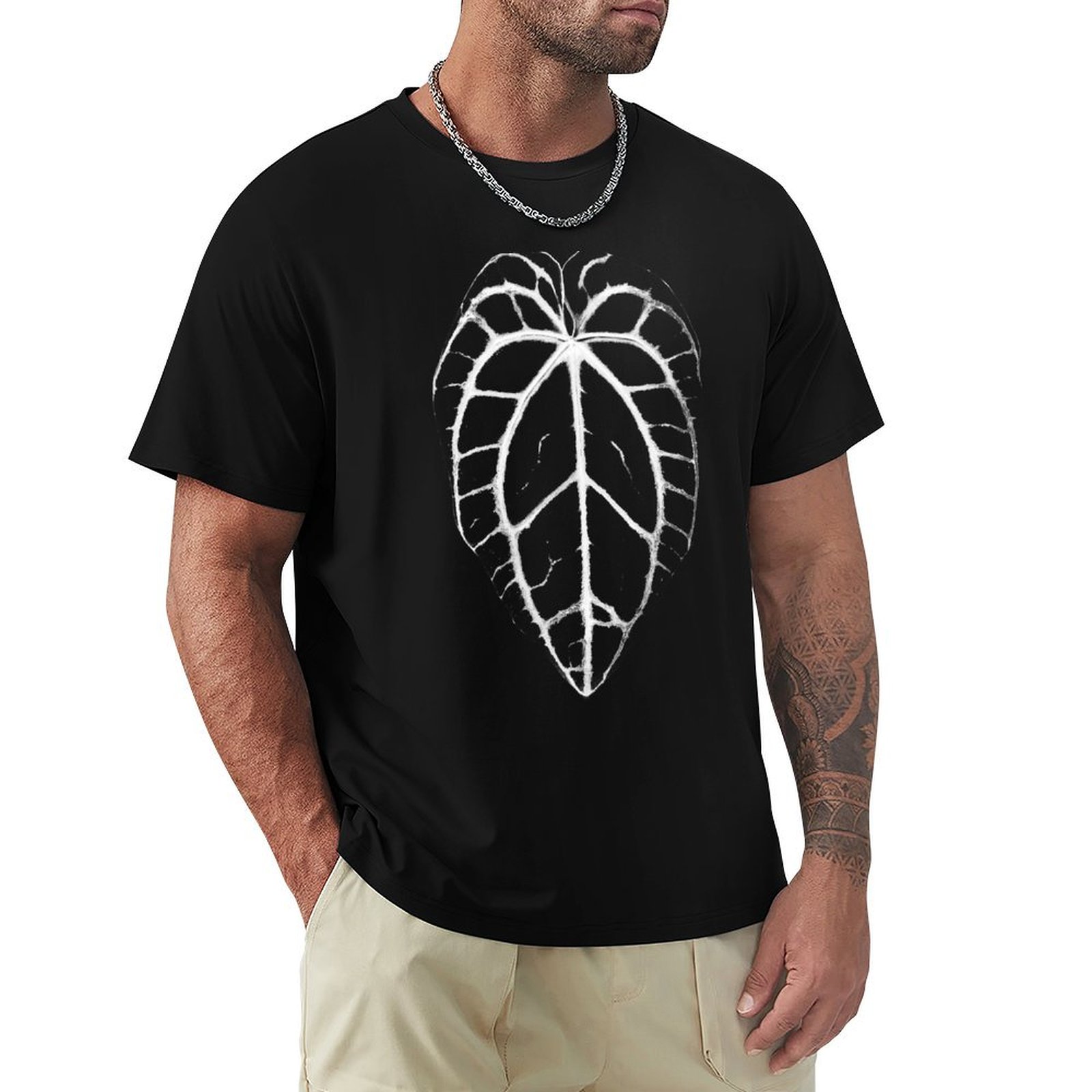 ANTHURIUM CRYSTALLINUM VEINS T - Anthurium Crystallinum review and price