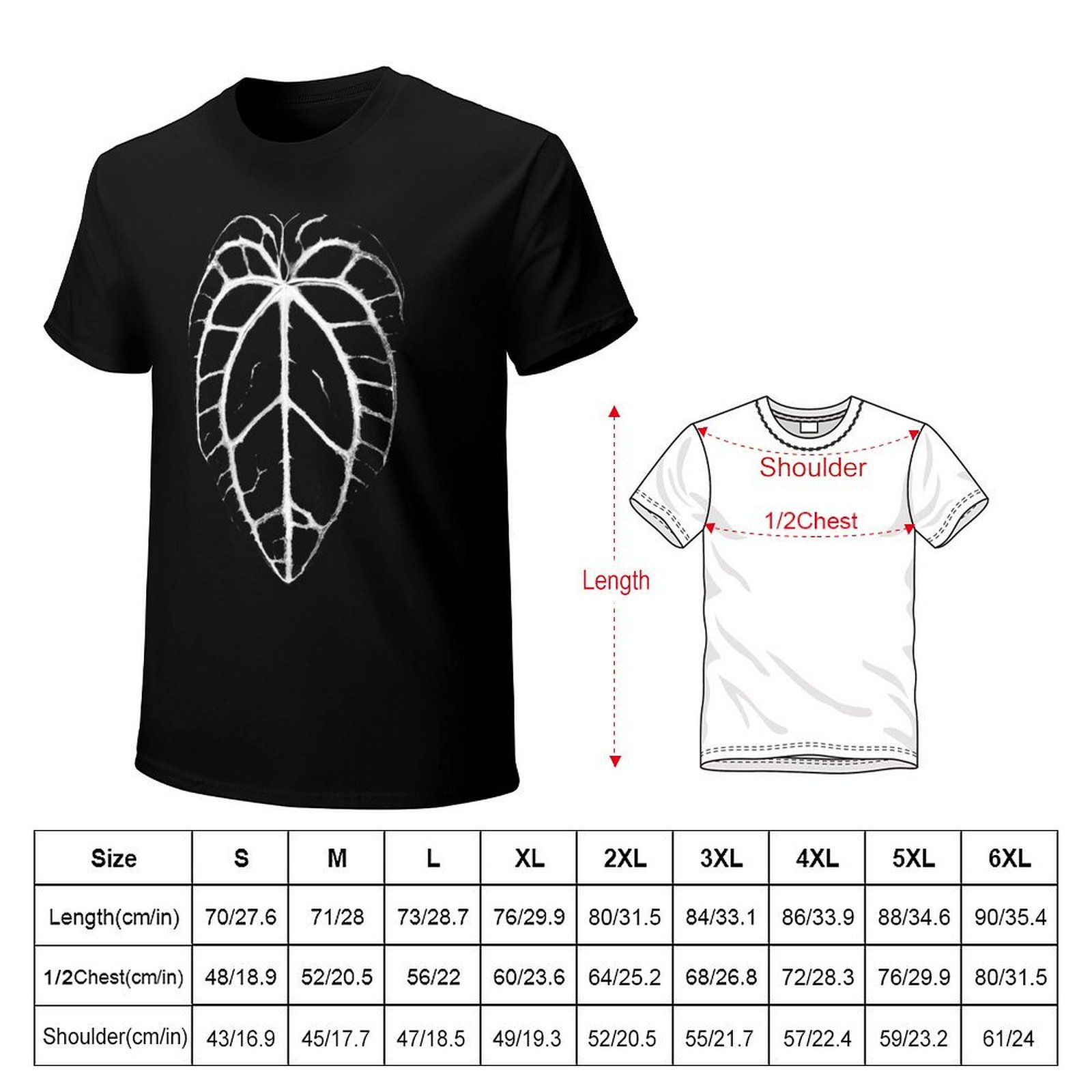 ANTHURIUM CRYSTALLINUM VEINS T - Anthurium Crystallinum review and price