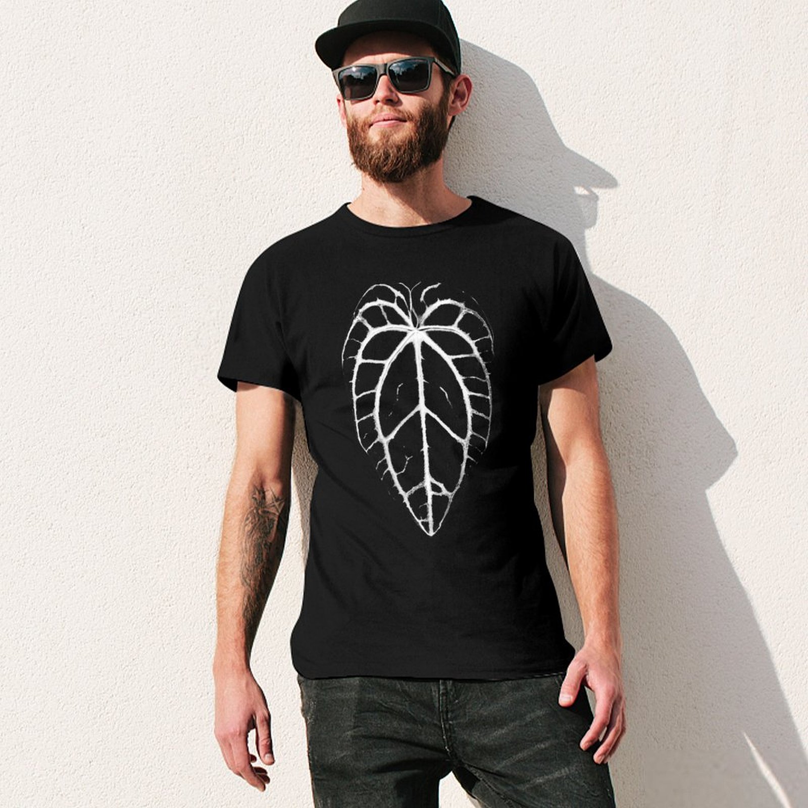 ANTHURIUM CRYSTALLINUM VEINS T - Anthurium Crystallinum review and price