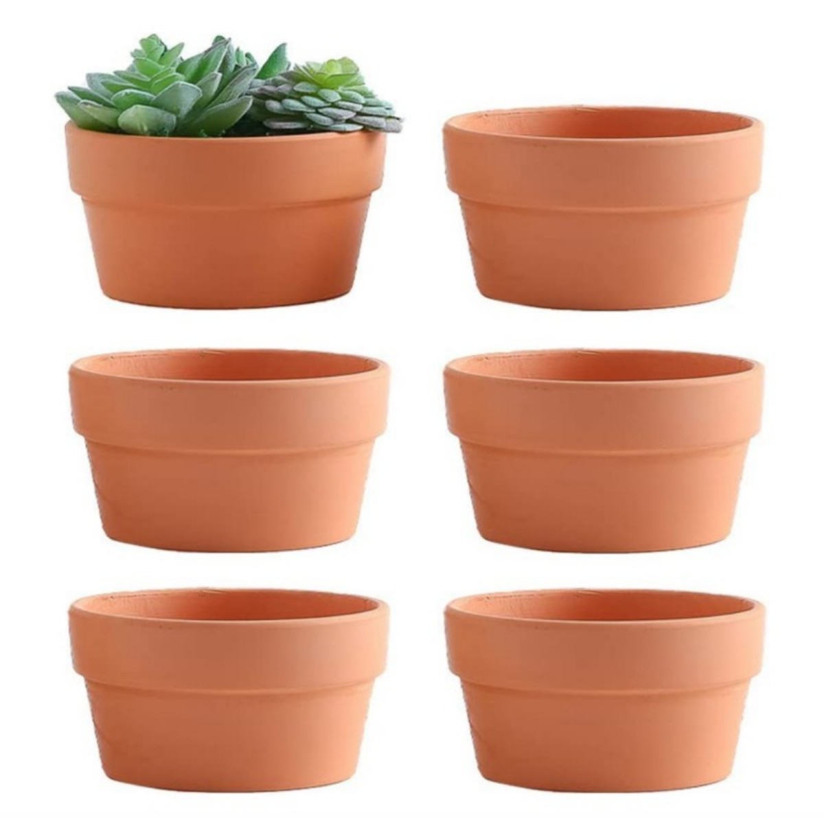 6 PCS Terracotta Buld Pots 3.5 - Cactus Mix Pot review and price