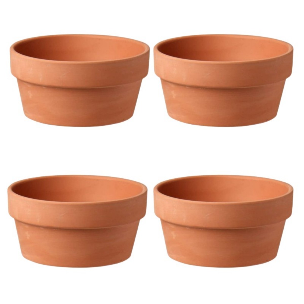 6 PCS Terracotta Buld Pots 3.5 - Cactus Mix Pot review and price