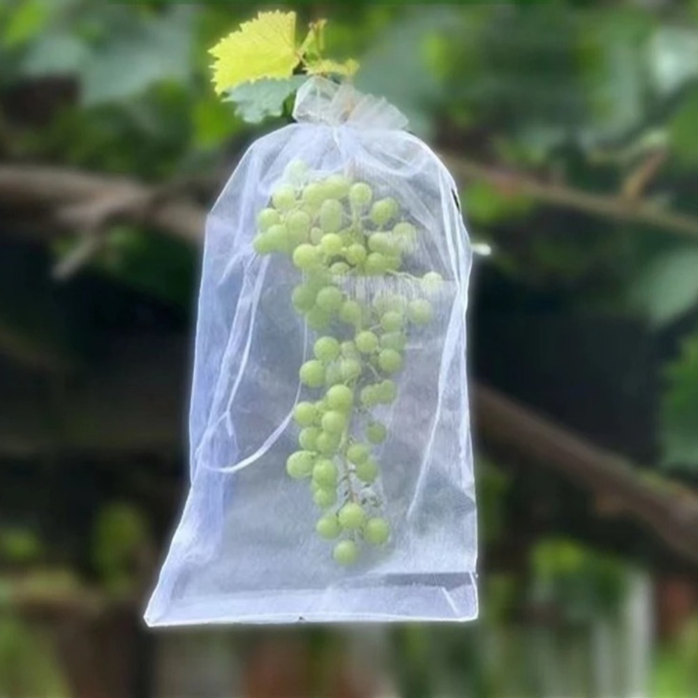 100pcs Grapes Fruit Grow Bags  - Plant Parent Tools review and price