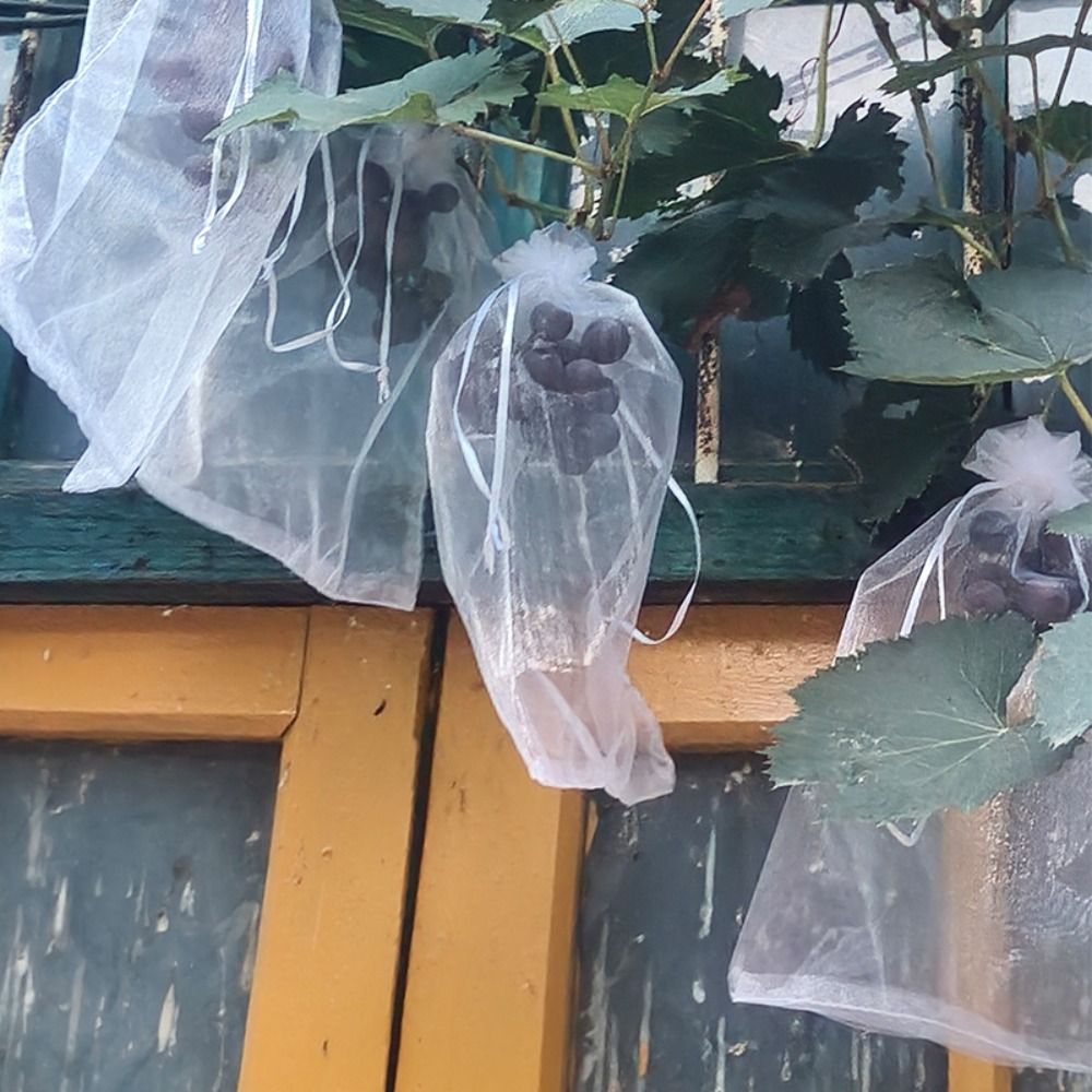 100pcs Grapes Fruit Grow Bags  - Plant Parent Tools review and price