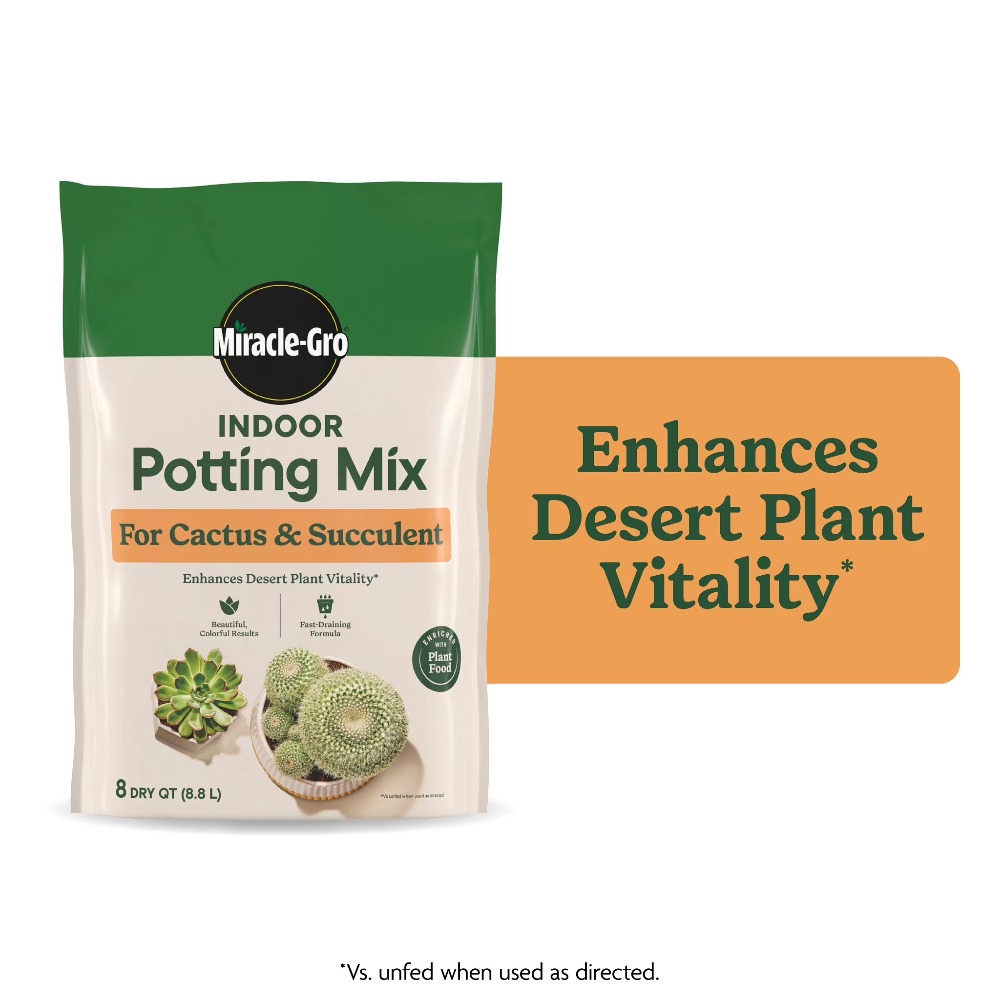 2 Pack 8 Quart Fast‑Draining C - Cactus Mix Pot review and price