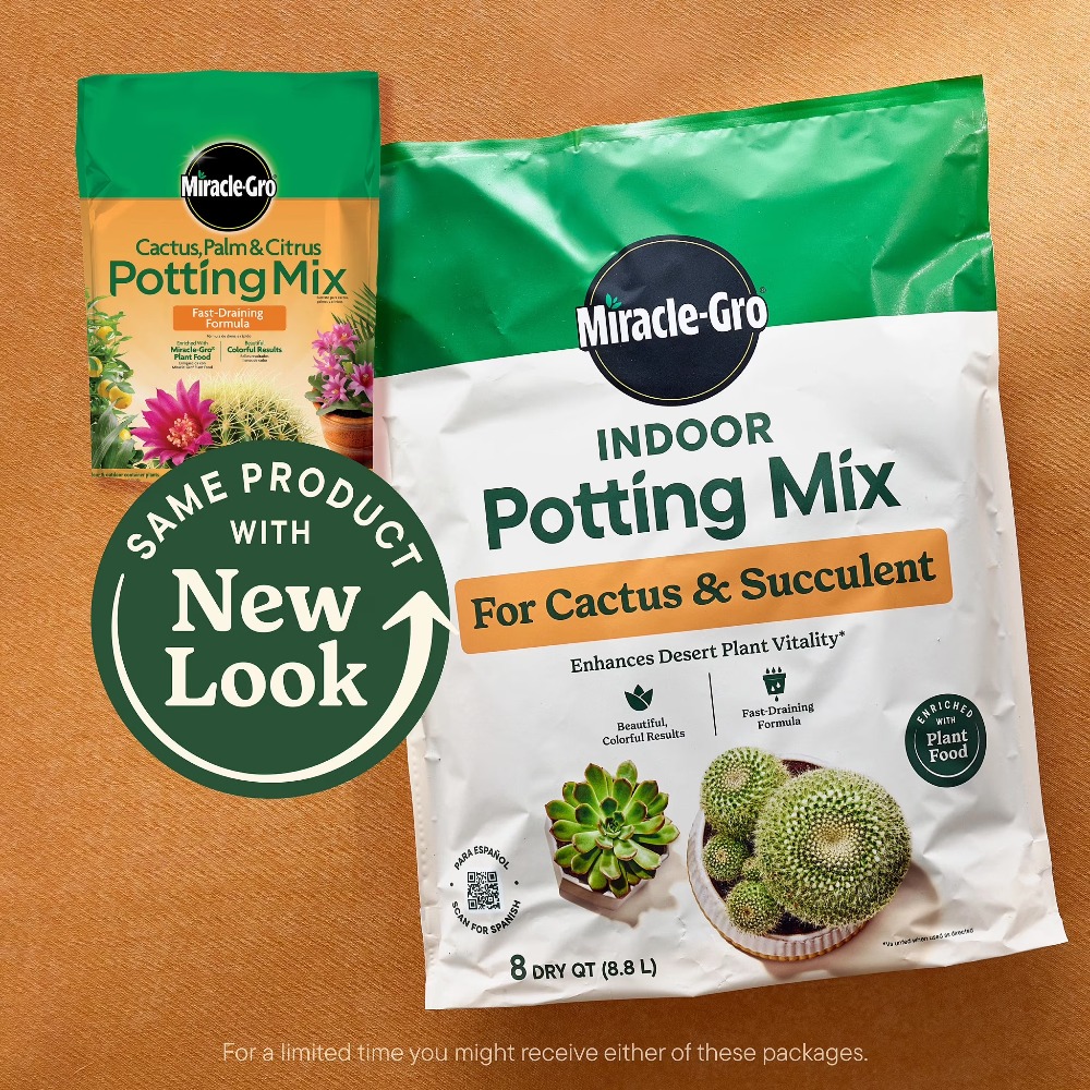 2 Pack 8 Quart Fast‑Draining C - Cactus Mix Pot review and price