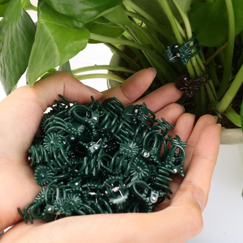 Wholesale Mini Plant Support C - Plant Parent Tools review and price