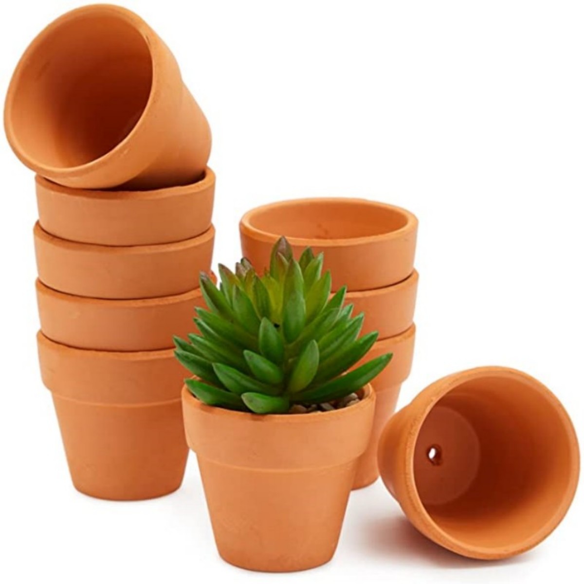 16 Pcs 1.8'' Terra Cotta Pots  - Cactus Mix Pot review and price