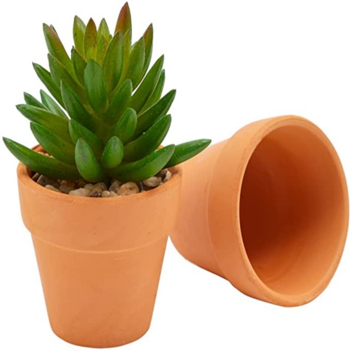16 Pcs 1.8'' Terra Cotta Pots  - Cactus Mix Pot review and price