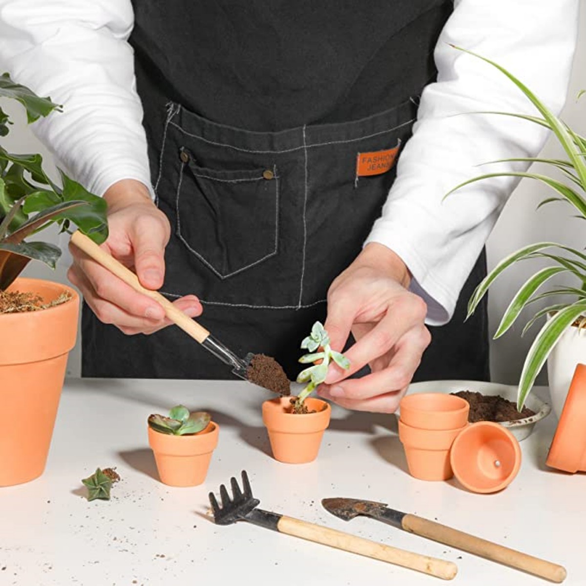 16 Pcs 1.8'' Terra Cotta Pots  - Cactus Mix Pot review and price