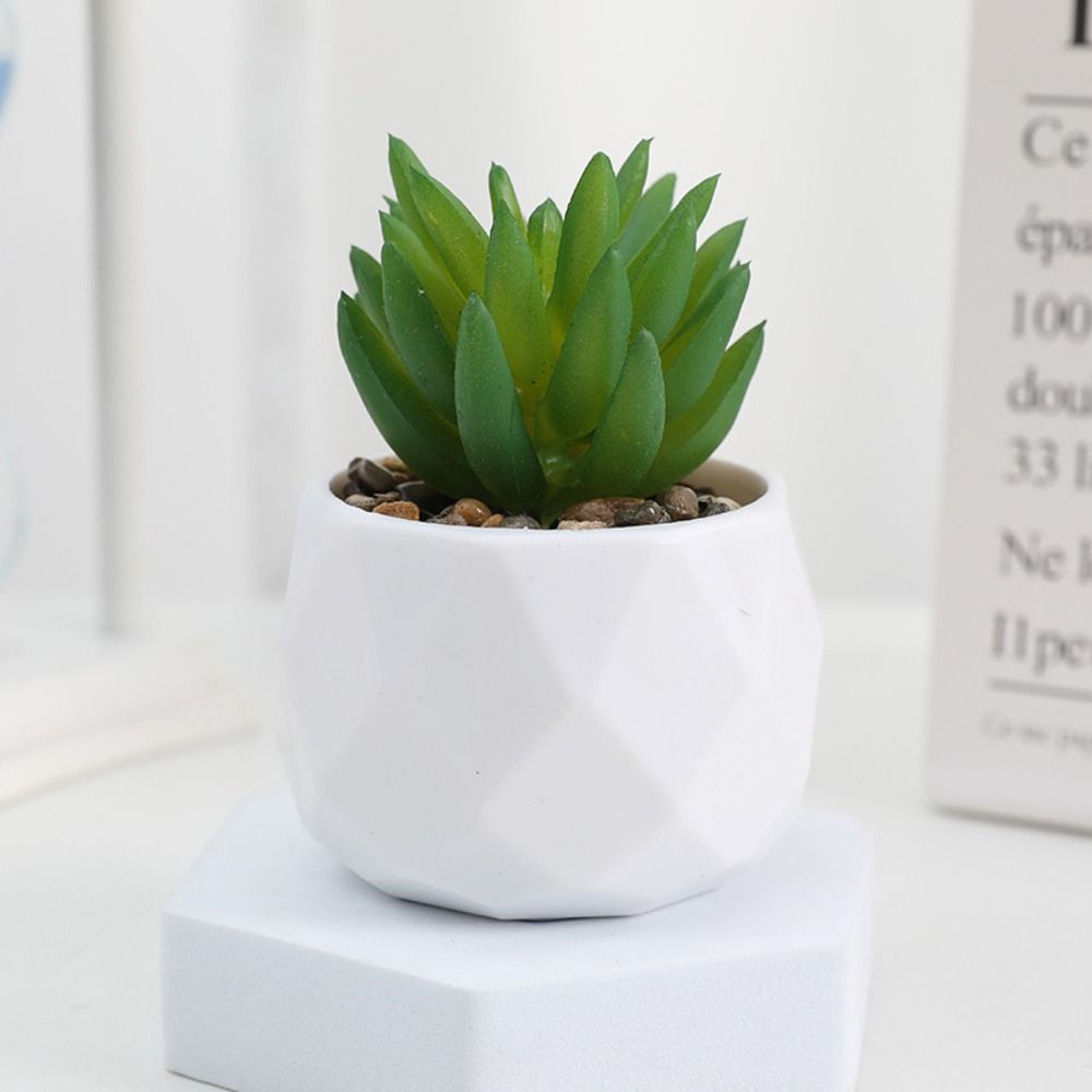 Simulation Evergreen Artificia - Cactus Mix Pot review and price