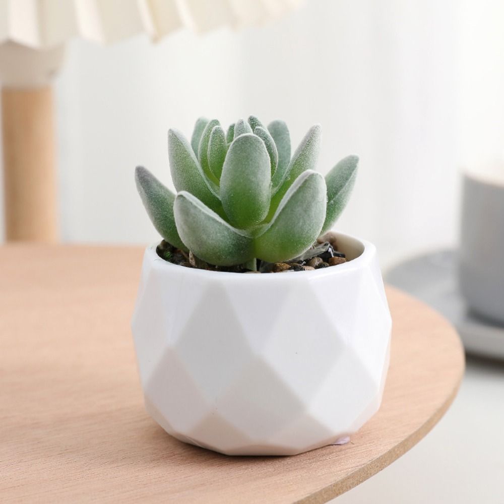 Simulation Evergreen Artificia - Cactus Mix Pot review and price