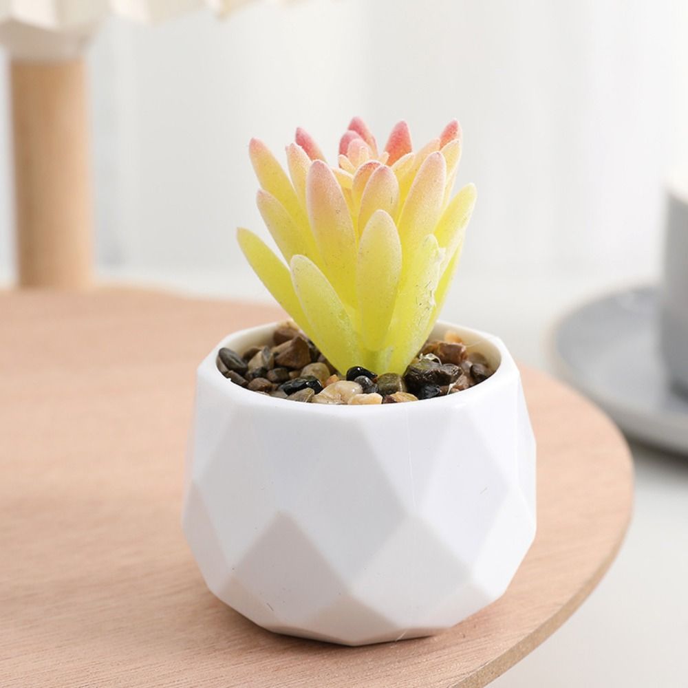 Simulation Evergreen Artificia - Cactus Mix Pot review and price