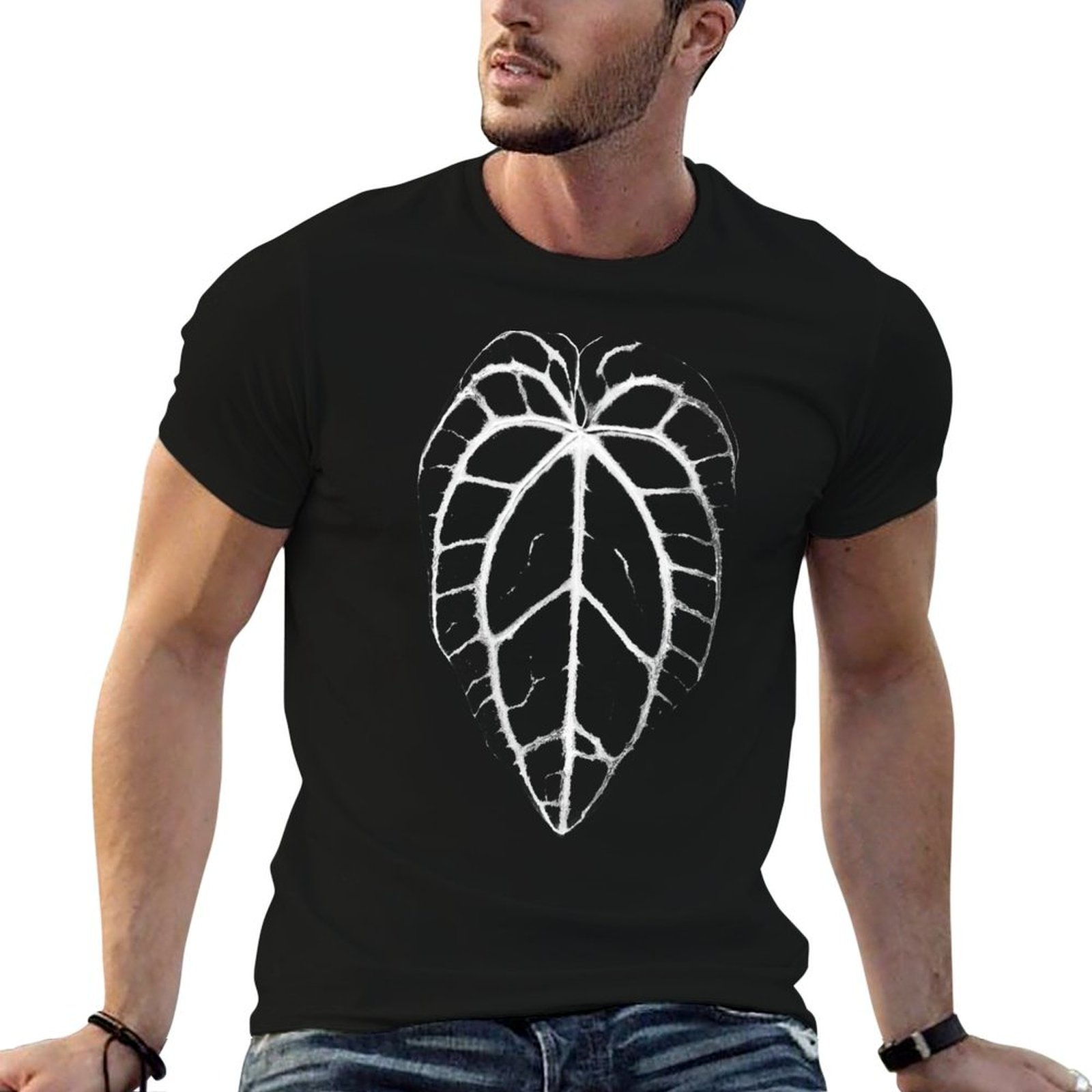 ANTHURIUM CRYSTALLINUM VEINS T - Anthurium Crystallinum review and price