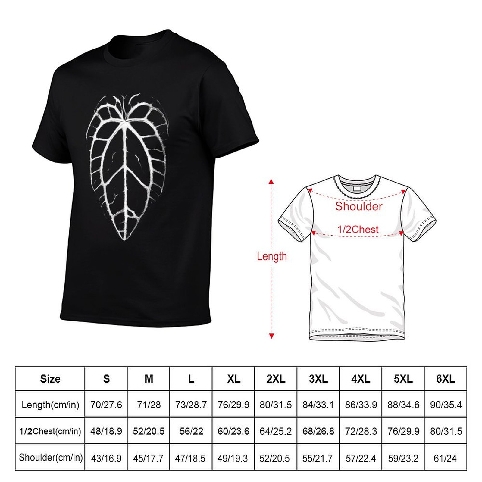 ANTHURIUM CRYSTALLINUM VEINS T - Anthurium Crystallinum review and price