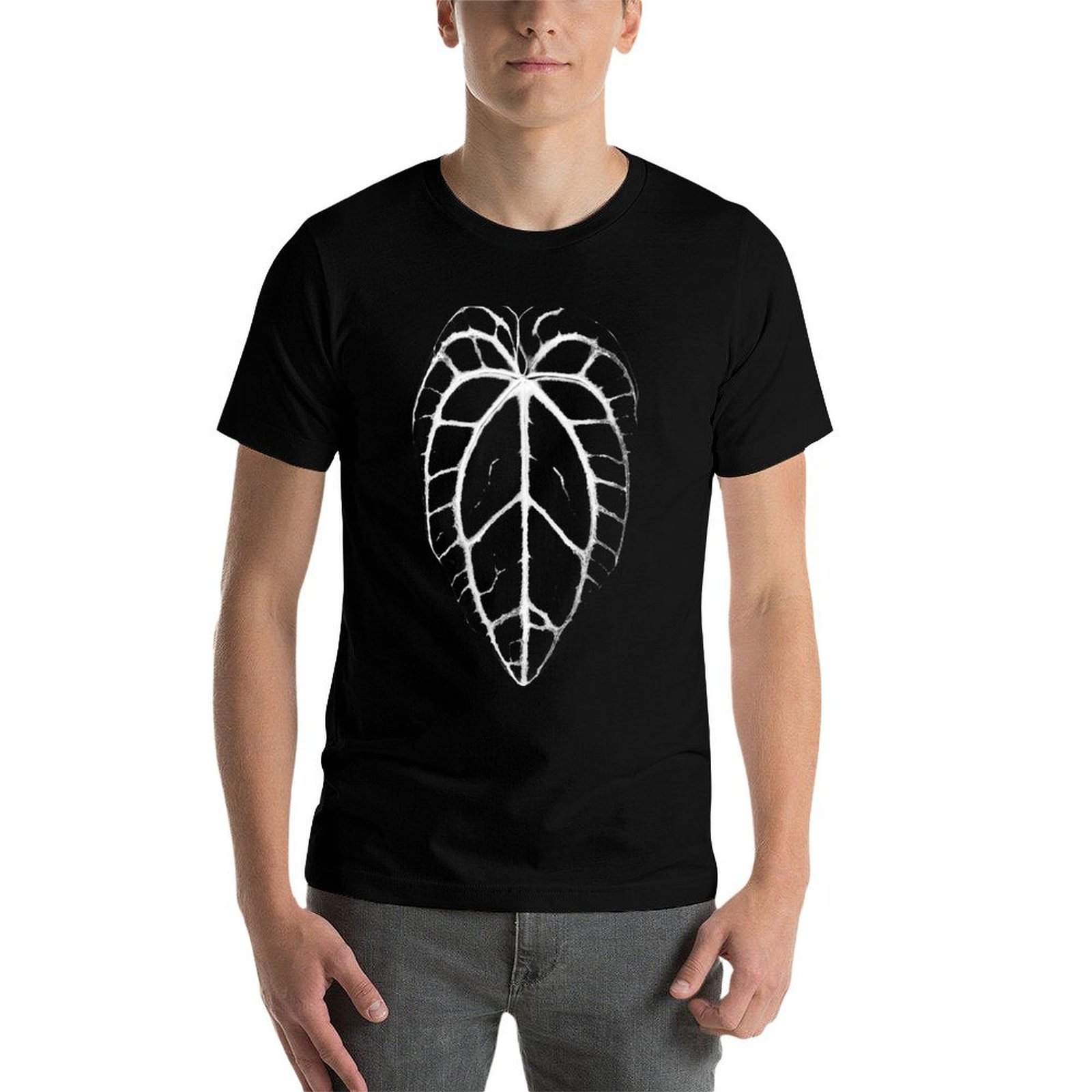 ANTHURIUM CRYSTALLINUM VEINS T - Anthurium Crystallinum review and price