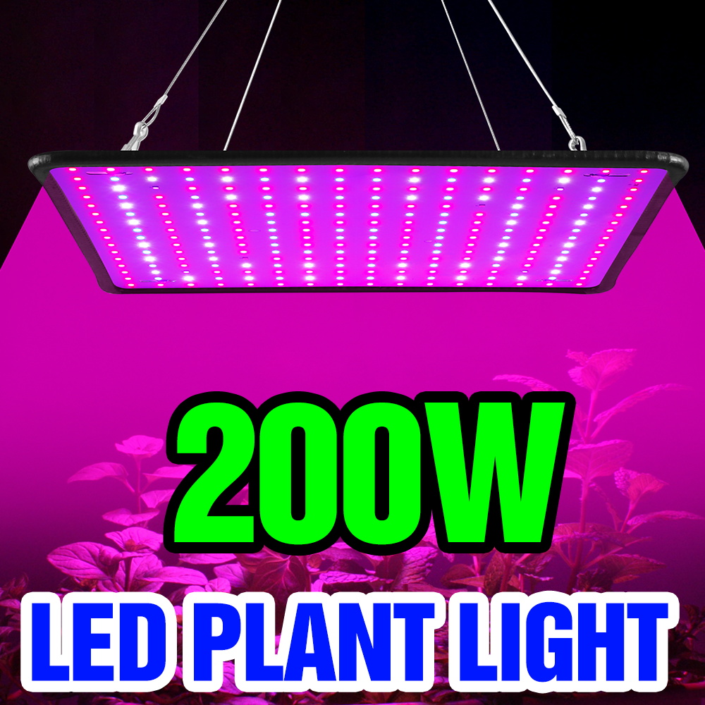 200W LED Quantum Board Grow Li - Cactus Mix Pot review and price