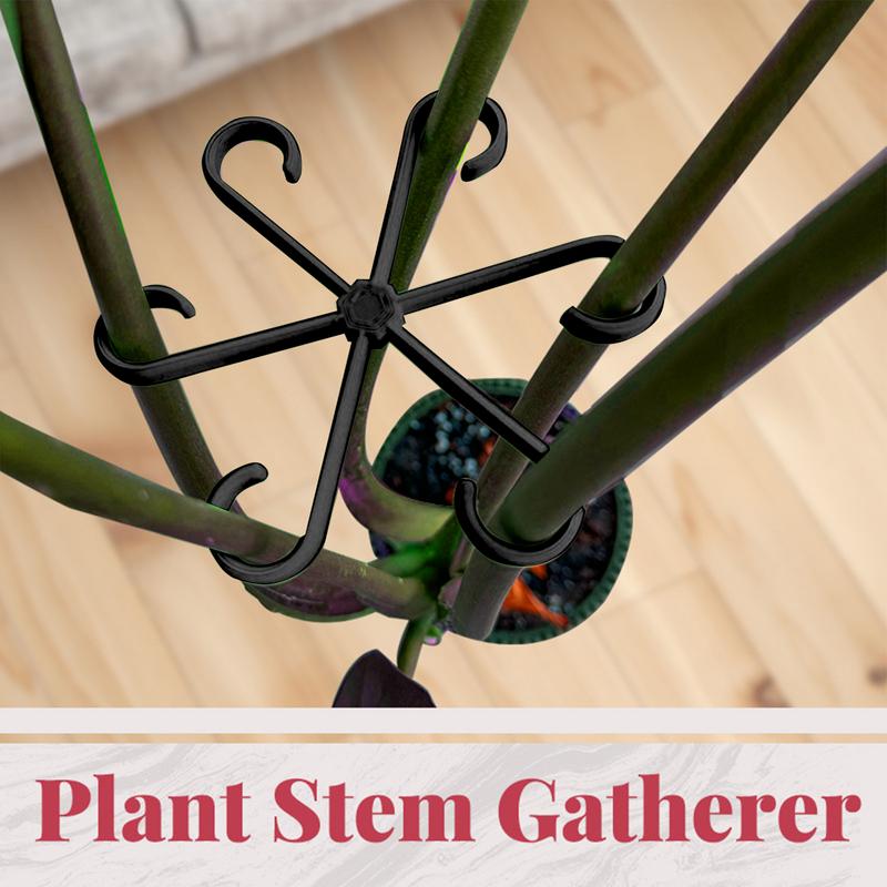 4pcs Climbing Plants Support C - Variegated Monstera Node review and price