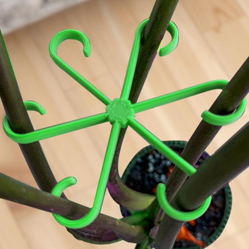 4pcs Climbing Plants Support C - Variegated Monstera Node review and price
