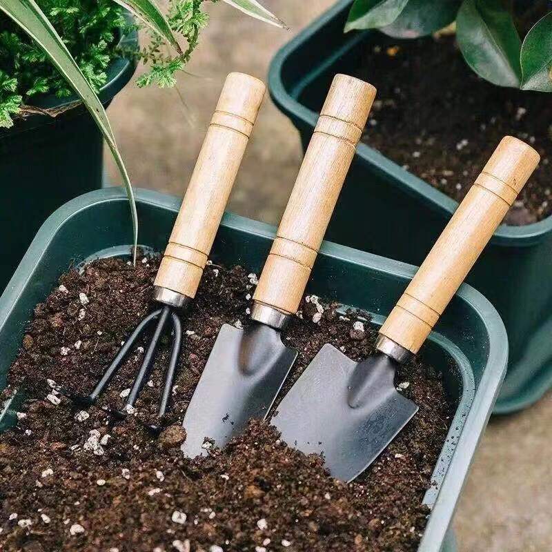 3PC/1Set Mini Gardening Tools  - Plant Parent Tools review and price
