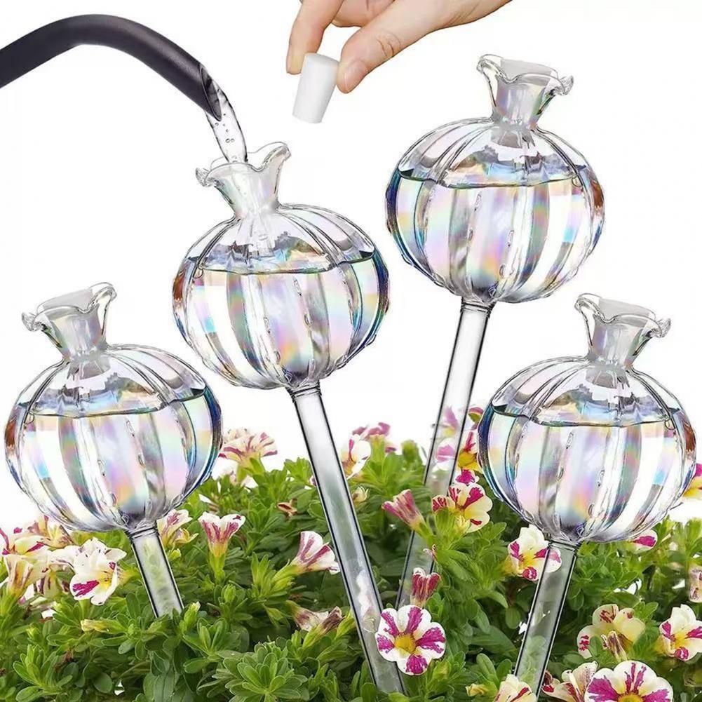 24cm Cactus Self Watering Bulb - Cactus Mix Pot review and price