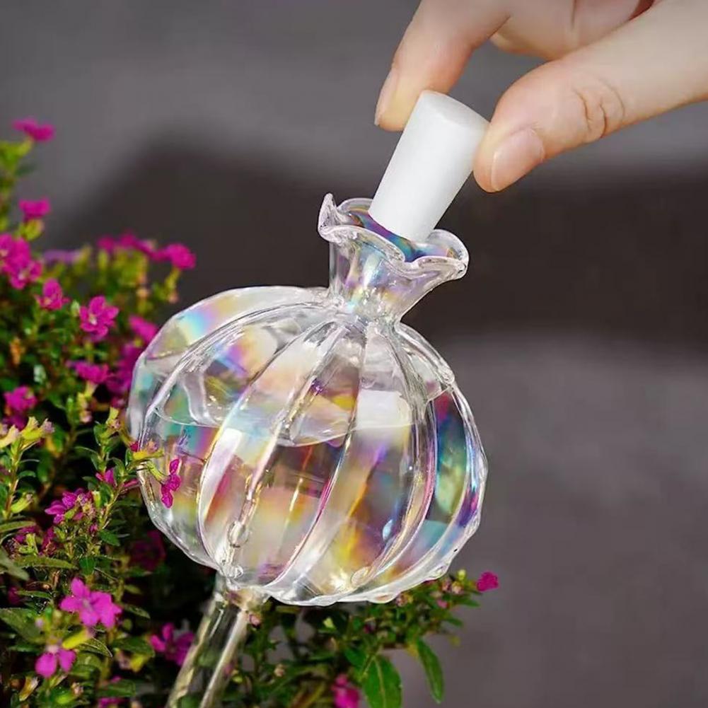 24cm Cactus Self Watering Bulb - Cactus Mix Pot review and price