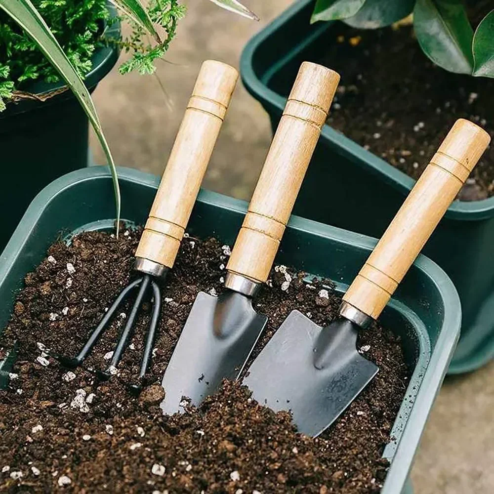 3Pcs/Set Mini Garden Tool Set  - Cactus Mix Pot review and price