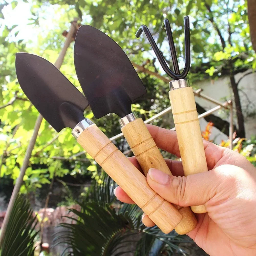3Pcs/Set Mini Garden Tool Set  - Cactus Mix Pot review and price