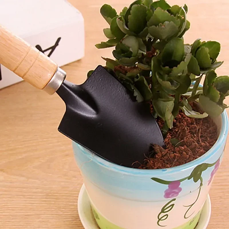 3Pcs/Set Mini Garden Tool Set  - Cactus Mix Pot review and price