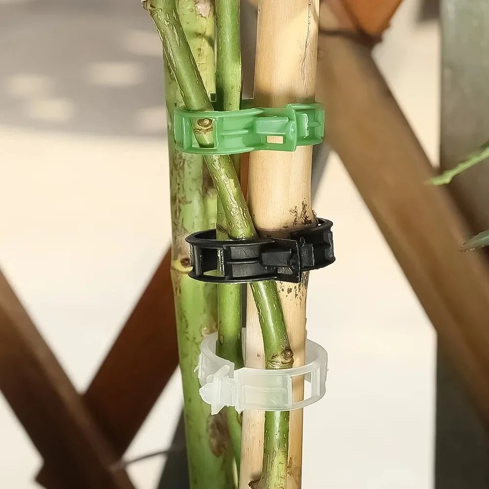 100/10PCS Plant Support Clips  - Plant Parent Tools review and price