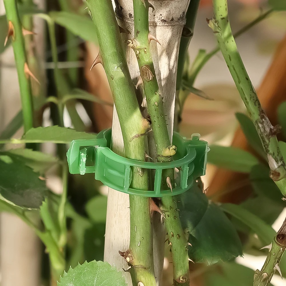 100/10PCS Plant Support Clips  - Plant Parent Tools review and price