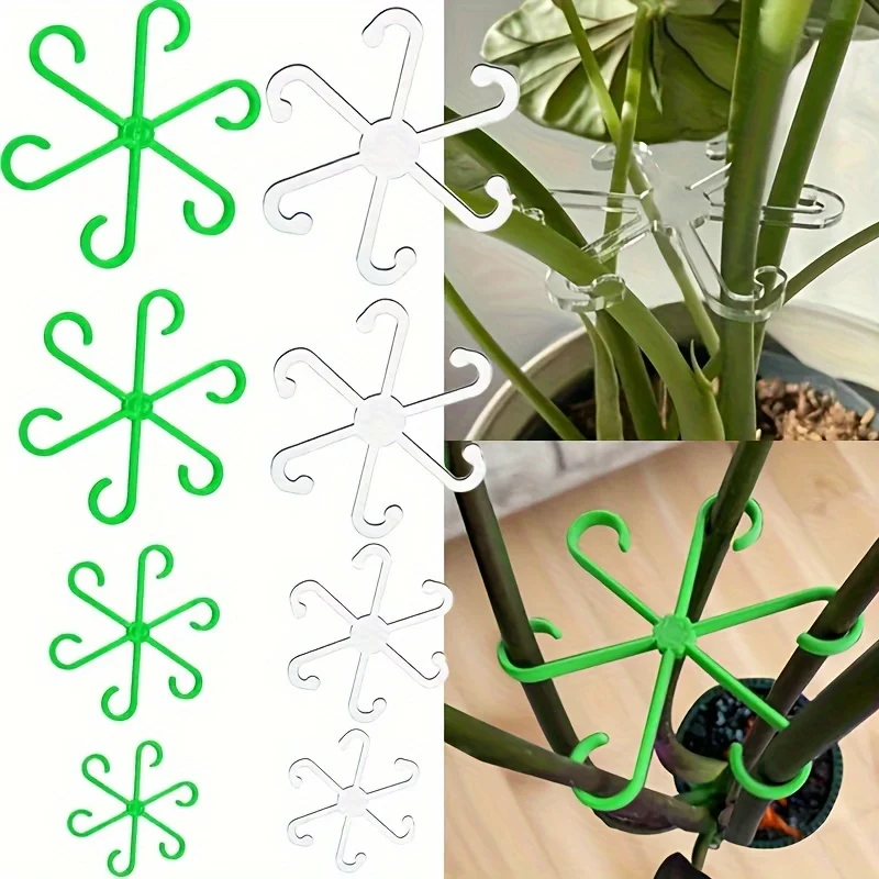 4pcs Climbing Plants Support C - Variegated Monstera Node review and price