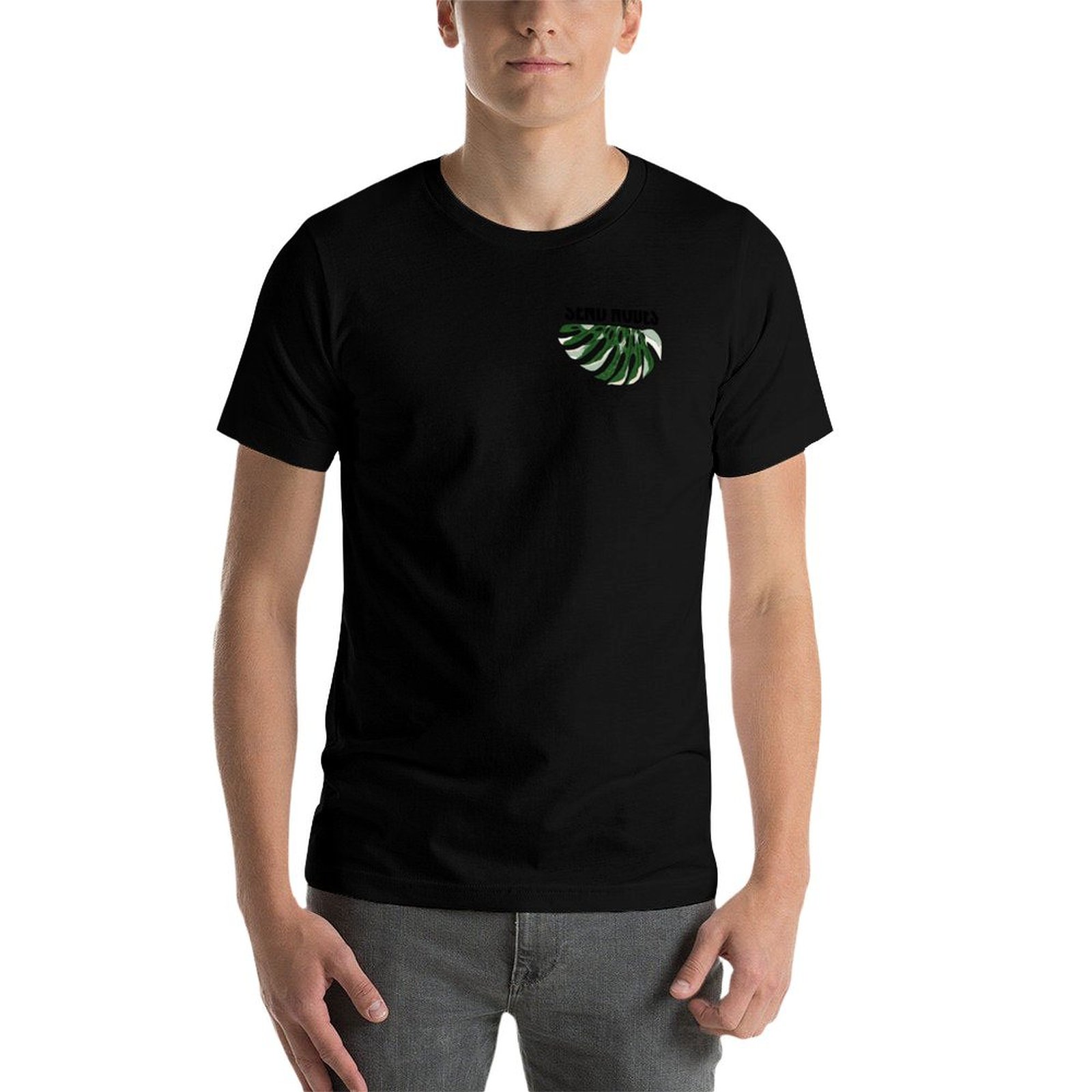 Send Nodes - Variegated Monste - Variegated Monstera Node review and price