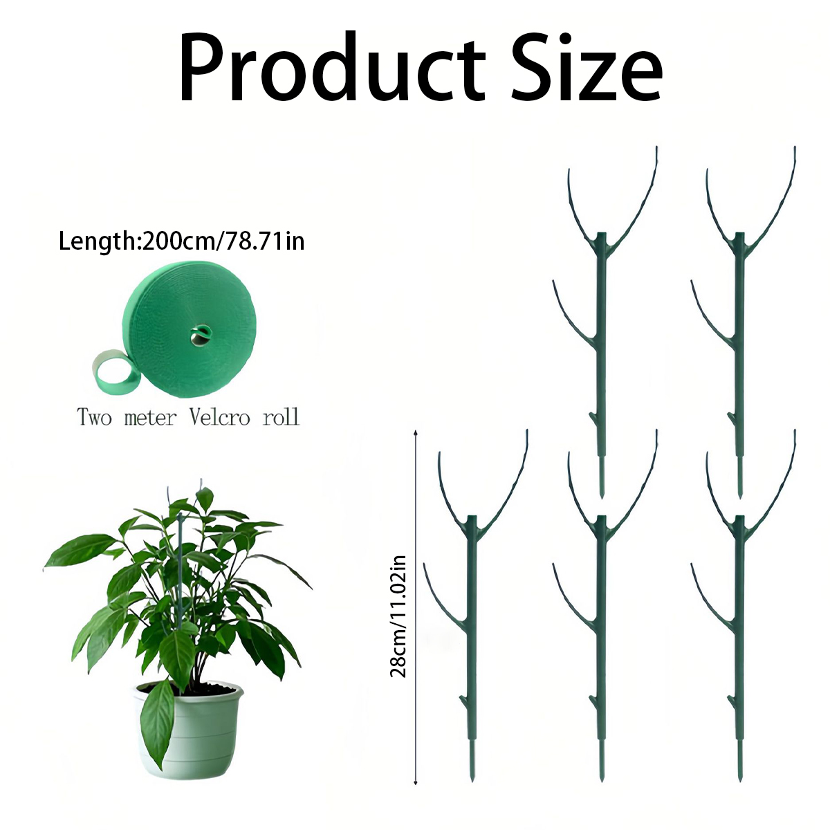6 PCS Monstera Plant Support S - Variegated Monstera Node review and price