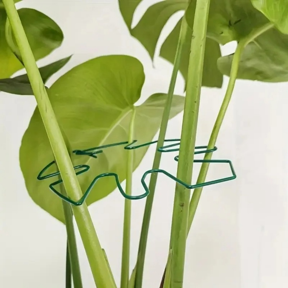 1Pc Large Plant Stand Indoor P - Variegated Monstera Node review and price