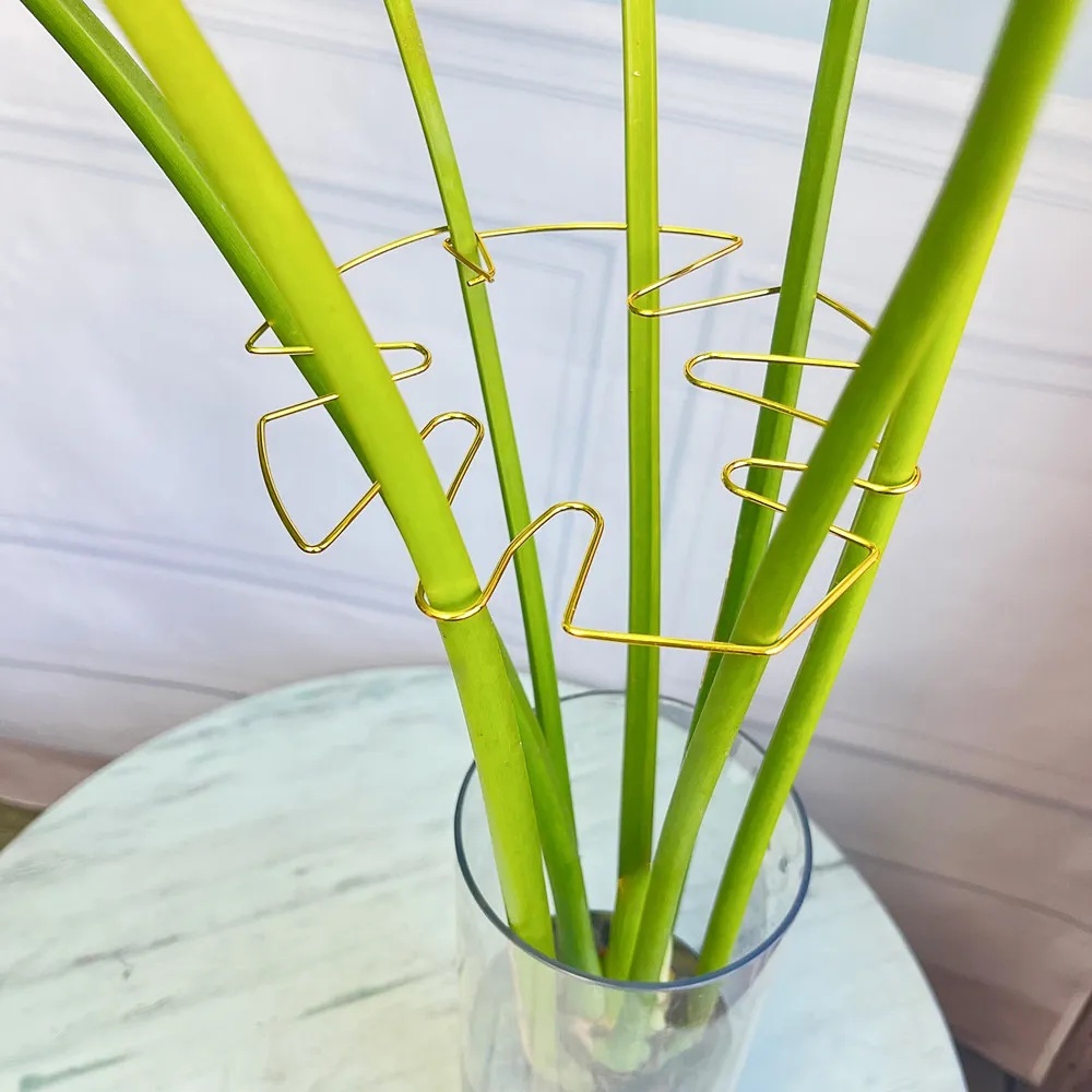1Pc Large Plant Stand Indoor P - Variegated Monstera Node review and price