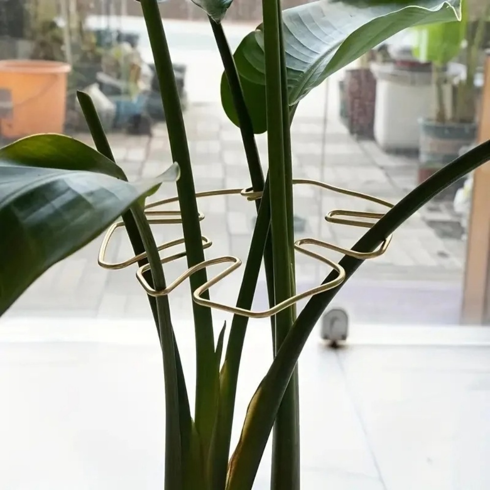1Pc Large Plant Stand Indoor P - Variegated Monstera Node review and price