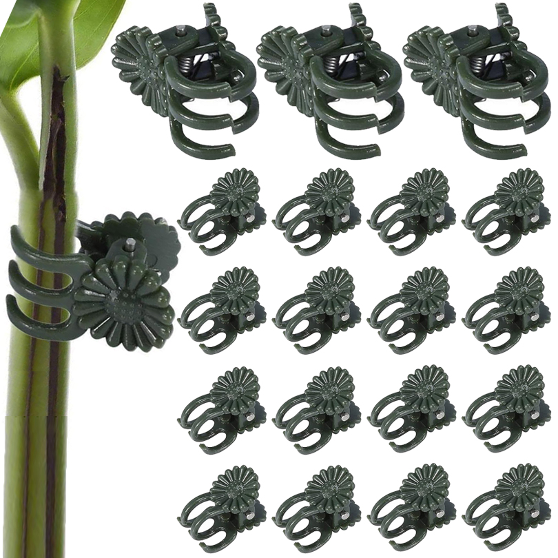 20/50/100PCS Plant Clips Vine  - Plant Parent Tools review and price