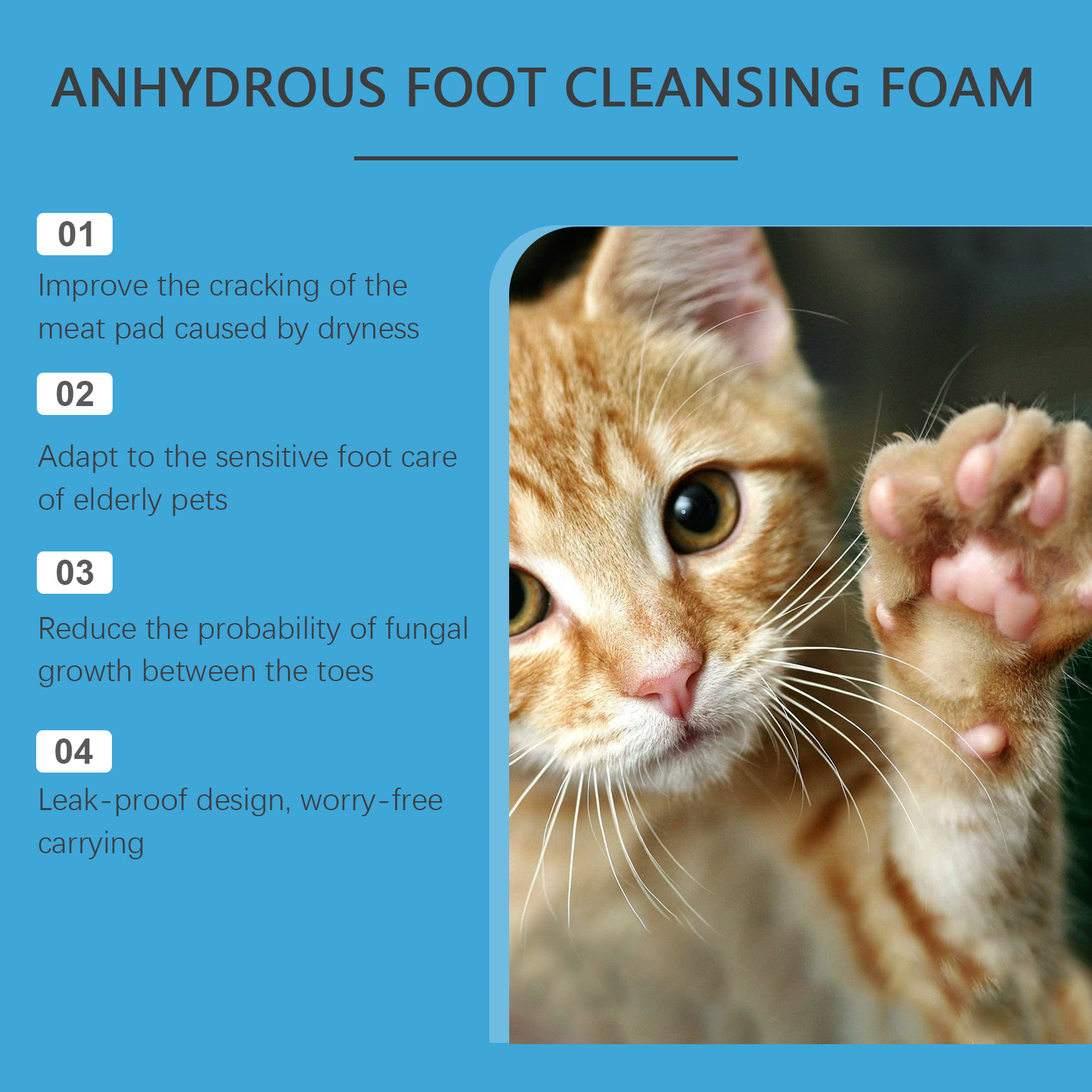 Anhydrous Pet Paw Cleaning Foa - Anthurium Crystallinum review and price