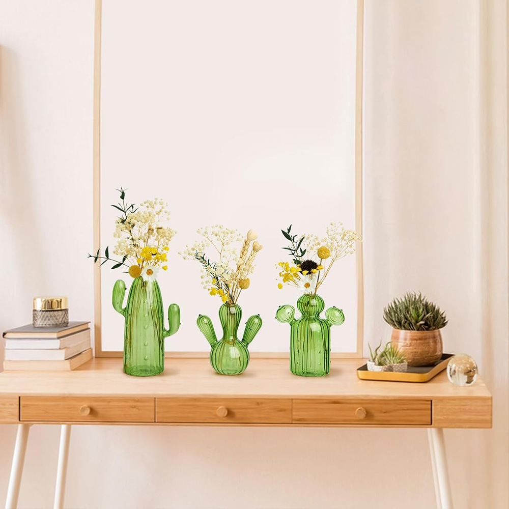 Colourful Glass Vase, Desktop  - Cactus Mix Pot review and price