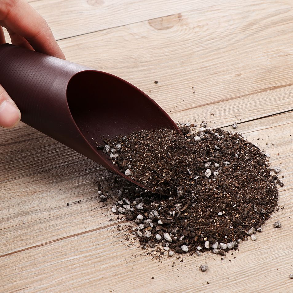 1PC Plastic Soil Shovel Cup Fo - Plant Parent Tools review and price