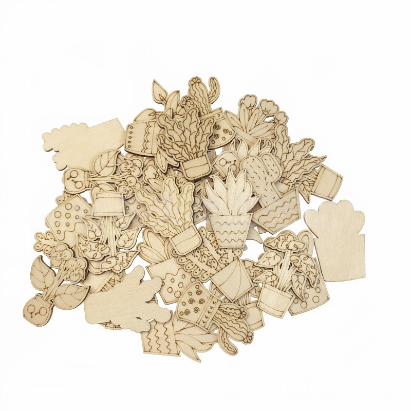 50PCS Mixed Styles Flower Cact - Cactus Mix Pot review and price